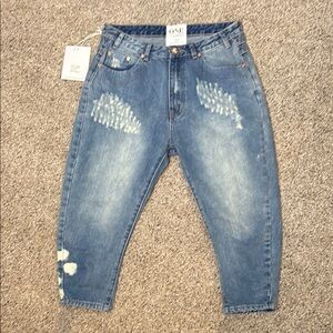 One Teaspoon Eagles Slouchy Low Waist Drop Crotch Cropped